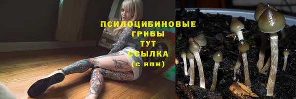 гидра Михайлов