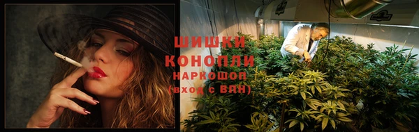 гидра Струнино
