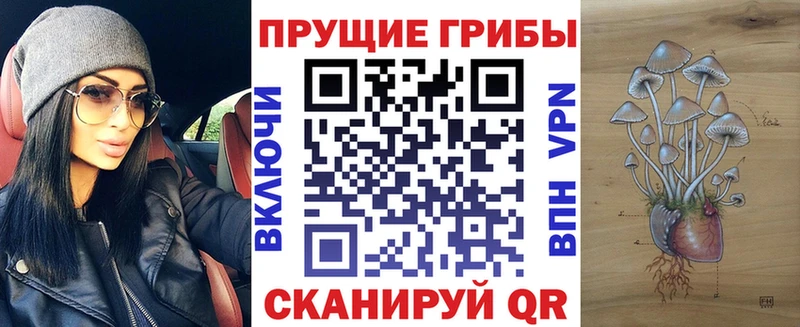 Галлюциногенные грибы MAGIC MUSHROOMS  купить  цена  Туран 